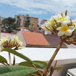 Plumaria Apartamento